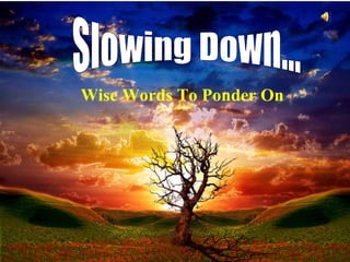 Slowing Down... Wise Words To Ponder On 