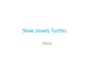 SlowslowlyTurtles Olivia 