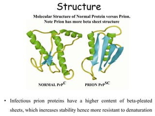 Structure
• Infectious prion proteins have a higher content of beta-pleated
sheets, which increases stability hence more resistant to denaturation
Molecular Structure of Normal Protein versus Prion.
Note Prion has more beta sheet structure
NORMAL PrPC PRION PrPSC
 