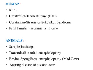 HUMAN:
• Kuru
• Creutzfeldt-Jacob Disease (CJD)
• Gerstmann-Straussler Scheinker Syndrome
• Fatal familial insomnia syndrome
ANIMALS:
• Scrapie in sheep;
• Transmissible mink encephalopathy
• Bovine Spongiform encephalopathy (Mad Cow)
• Wasting disease of elk and deer
 