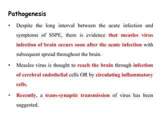 Pathogenesis
• Despite the long interval between the acute infection and
symptoms of SSPE, there is evidence that measles virus
infection of brain occurs soon after the acute infection with
subsequent spread throughout the brain.
• Measles virus is thought to reach the brain through infection
of cerebral endothelial cells OR by circulating inflammatory
cells.
• Recently, a trans-synaptic transmission of virus has been
suggested.
 
