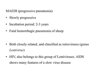 MAEDI (progressive pneumonia)
• Slowly progressive
• Incubation period: 2-3 years
• Fatal hemorrhagic pneumonia of sheep
• Both closely related, and classified as retroviruses (genus
Lentivirus)
• HIV, also belongs to this group of Lentiviruses. AIDS
shows many features of a slow virus disease
 
