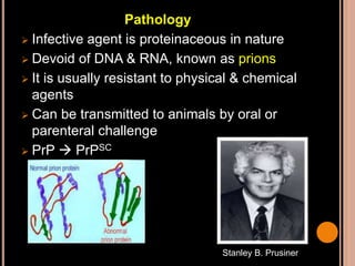 Pathology
 Infective agent is proteinaceous in nature
 Devoid of DNA & RNA, known as prions
 It is usually resistant to physical & chemical
agents
 Can be transmitted to animals by oral or
parenteral challenge
 PrP  PrPSC
Stanley B. Prusiner
 