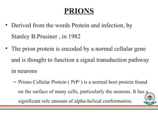 Comprehensive Overview of Slow Viruses and Prion Diseases in ...