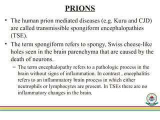 Comprehensive Overview of Slow Viruses and Prion Diseases in ...