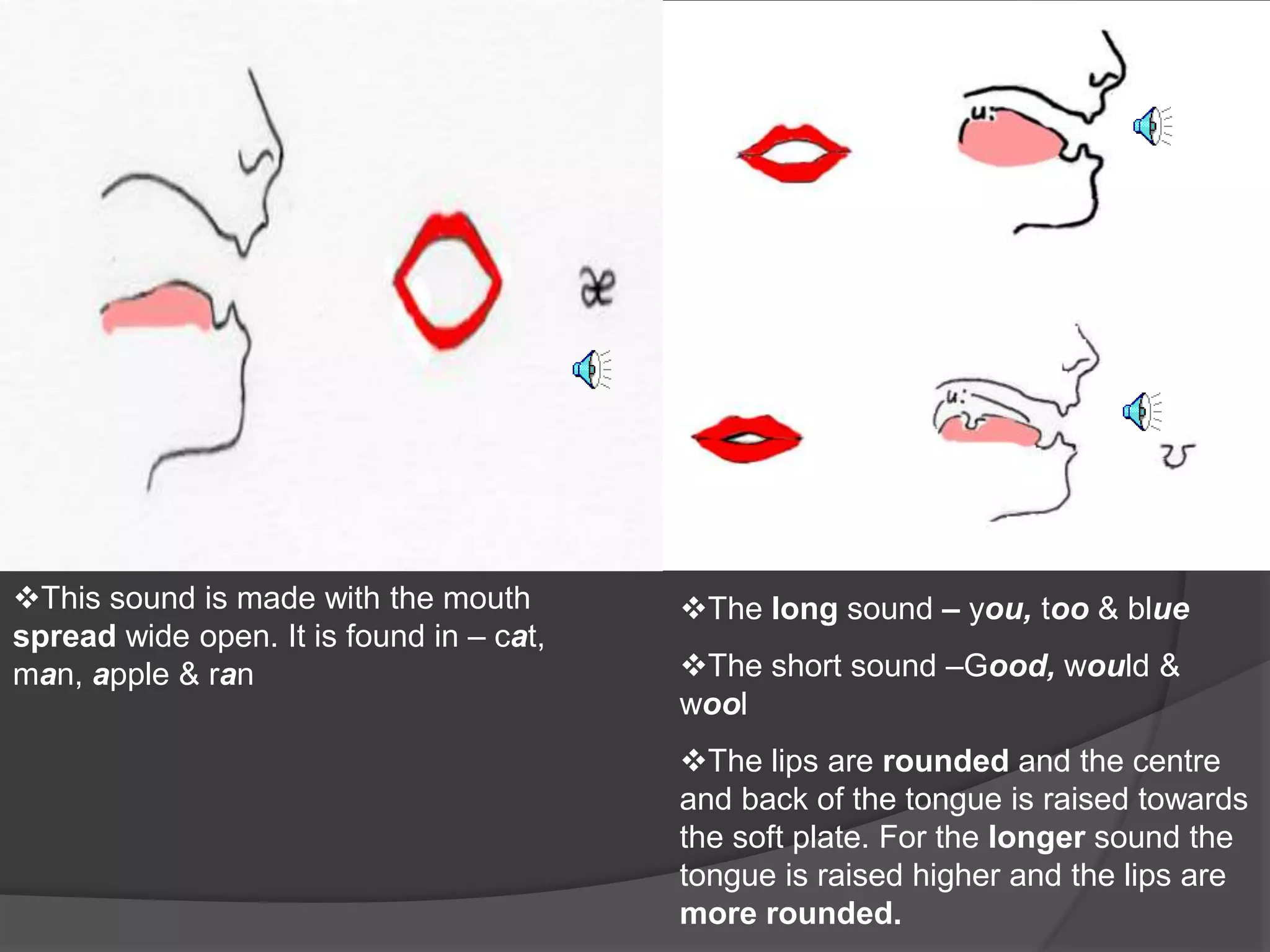 The long sound – you, too & blue 
The short sound –Good, would & 
wool 
The lips are rounded and the centre 
and back of the tongue is raised towards 
the soft plate. For the longer sound the 
tongue is raised higher and the lips are 
more rounded. 
This sound is made with the mouth 
spread wide open. It is found in – cat, 
man, apple & ran 
 