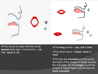 The long sound – you, too & blue 
The short sound –Good, would & 
wool 
The lips are rounded and the centre 
and back of the tongue is raised towards 
the soft plate. For the longer sound the 
tongue is raised higher and the lips are 
more rounded. 
This sound is made with the mouth 
spread wide open. It is found in – cat, 
man, apple & ran 
 