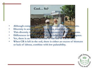 Optimizing benefits from crop residues in smallholder mixed systems in Africa and South Asia: A comparison