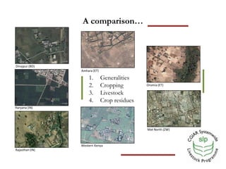 Optimizing benefits from crop residues in smallholder mixed systems in Africa and South Asia: A comparison
