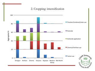 Optimizing benefits from crop residues in smallholder mixed systems in Africa and South Asia: A comparison