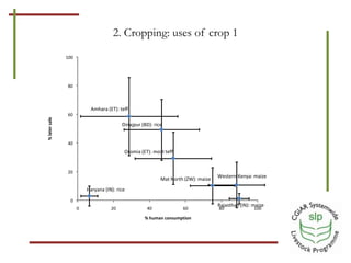 Optimizing benefits from crop residues in smallholder mixed systems in Africa and South Asia: A comparison