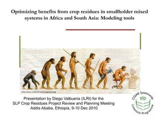 Optimizing benefits from crop residues in smallholder mixed systems in Africa and South Asia: Modeling tools http://www.truthtree.com/images/em.jpg Presentation by Diego Valbuena (ILRI) for the SLP Crop Residues Project Review and Planning Meeting  Addis Ababa, Ethiopia, 9-10 Dec 2010 