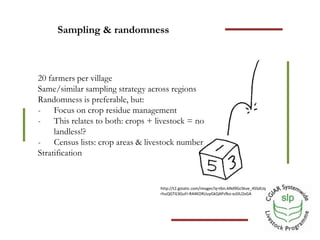 Optimizing benefits from crop residues in smallholder mixed systems in Africa and South Asia: Sampling strategy