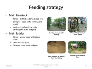 Optimizing livelihood and environmental benefits from crop residues in smallholder crop-livestock systems in sub-Saharan Africa and South Asia: Background on Study Regions in South Asia