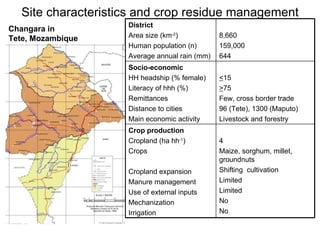 Optimizing livelihood and environmental benefits from crop residues in smallholder crop-livestock systems in sub-Saharan Africa and South Asia: Southern Africa case study