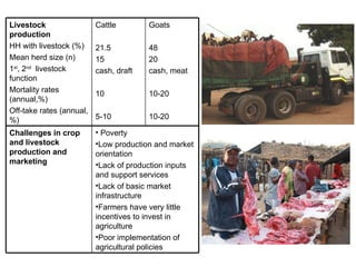 Optimizing livelihood and environmental benefits from crop residues in smallholder crop-livestock systems in sub-Saharan Africa and South Asia: Southern Africa case study