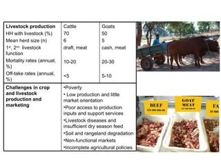 Optimizing livelihood and environmental benefits from crop residues in smallholder crop-livestock systems in sub-Saharan Africa and South Asia: Southern Africa case study