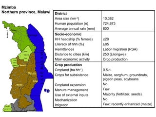Optimizing livelihood and environmental benefits from crop residues in smallholder crop-livestock systems in sub-Saharan Africa and South Asia: Southern Africa case study