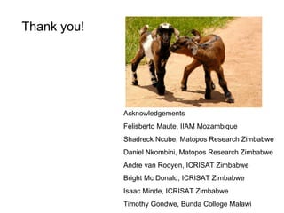 Optimizing livelihood and environmental benefits from crop residues in smallholder crop-livestock systems in sub-Saharan Africa and South Asia: Southern Africa case study