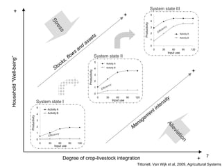 Crop residue tradeoffs in crop-livestock systems: Ideas for scenarios to be analyzed