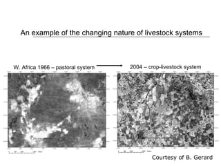 Drivers of change in crop-livestock systems and their potential impacts on agro-ecosystems services and human well-being to 2030