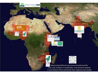CGIAR Systemwide Livestock Programme: Achievements and prospects in a changing CGIAR