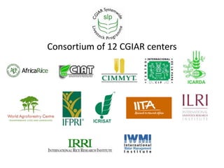 CGIAR Systemwide Livestock Programme: Achievements and prospects in a changing CGIAR