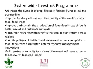 CGIAR Systemwide Livestock Programme: Achievements and prospects in a changing CGIAR