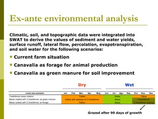 Realizing the benefits of cover crop legumes in smallholder crop-livestock systems of the hillsides of Central America: Trade-off analysis of using legumes for soil enhancing or as animal feed resource