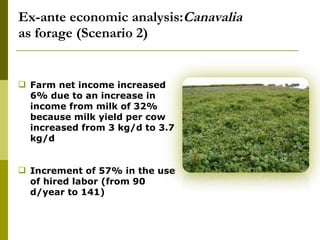 Realizing the benefits of cover crop legumes in smallholder crop-livestock systems of the hillsides of Central America: Trade-off analysis of using legumes for soil enhancing or as animal feed resource