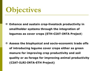 Realizing the benefits of cover crop legumes in smallholder crop-livestock systems of the hillsides of Central America: Trade-off analysis of using legumes for soil enhancing or as animal feed resource