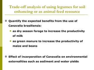 Realizing the benefits of cover crop legumes in smallholder crop-livestock systems of the hillsides of Central America: Trade-off analysis of using legumes for soil enhancing or as animal feed resource