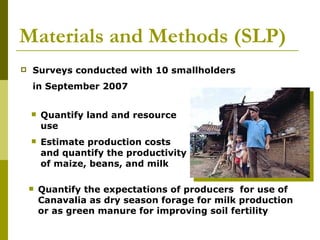 Realizing the benefits of cover crop legumes in smallholder crop-livestock systems of the hillsides of Central America: Trade-off analysis of using legumes for soil enhancing or as animal feed resource