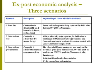 Realizing the benefits of cover crop legumes in smallholder crop-livestock systems of the hillsides of Central America: Trade-off analysis of using legumes for soil enhancing or as animal feed resource
