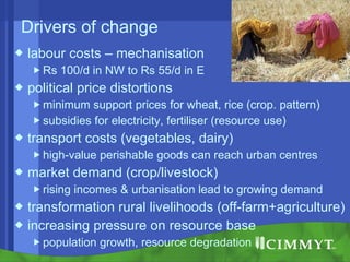 Conservation agriculture, livestock and livelihood strategies in the Indo-Gangetic Plains of South Asia: Synergies and tradeoffs