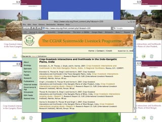 Conservation agriculture, livestock and livelihood strategies in the Indo-Gangetic Plains of South Asia: Synergies and tradeoffs