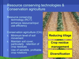 Conservation agriculture, livestock and livelihood strategies in the Indo-Gangetic Plains of South Asia: Synergies and tradeoffs