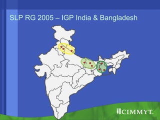 Conservation agriculture, livestock and livelihood strategies in the Indo-Gangetic Plains of South Asia: Synergies and tradeoffs