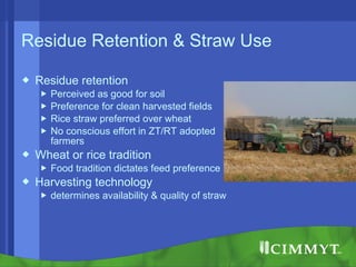 Conservation agriculture, livestock and livelihood strategies in the Indo-Gangetic Plains of South Asia: Synergies and tradeoffs