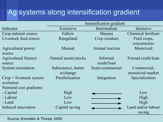 Conservation agriculture, livestock and livelihood strategies in the Indo-Gangetic Plains of South Asia: Synergies and tradeoffs
