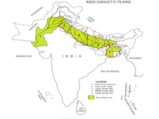 Conservation agriculture, livestock and livelihood strategies in the Indo-Gangetic Plains of South Asia: Synergies and tradeoffs