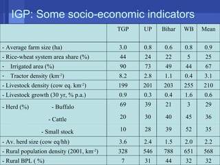 Conservation agriculture, livestock and livelihood strategies in the Indo-Gangetic Plains of South Asia: Synergies and tradeoffs