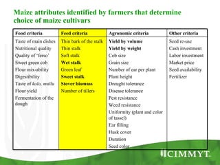 Improving the value of maize as livestock feed to enhance the livelihoods of maize-livestock farmers in East Africa