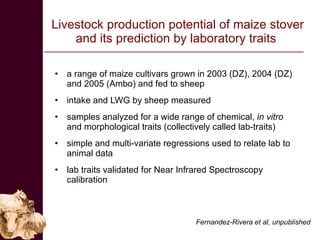 Improving the value of maize as livestock feed to enhance the livelihoods of maize-livestock farmers in East Africa