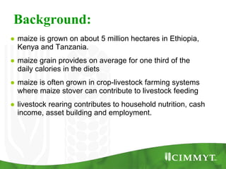 Improving the value of maize as livestock feed to enhance the livelihoods of maize-livestock farmers in East Africa