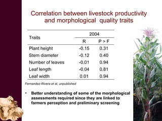 Improving the value of maize as livestock feed to enhance the livelihoods of maize-livestock farmers in East Africa