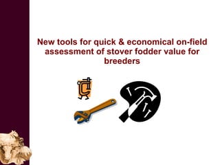 Improving the value of maize as livestock feed to enhance the livelihoods of maize-livestock farmers in East Africa