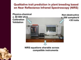 Improving the value of maize as livestock feed to enhance the livelihoods of maize-livestock farmers in East Africa