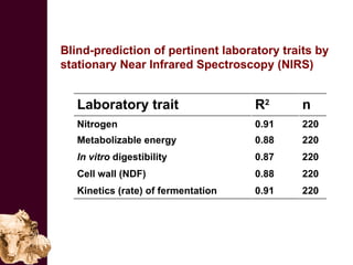 Improving the value of maize as livestock feed to enhance the livelihoods of maize-livestock farmers in East Africa