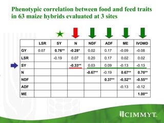 Improving the value of maize as livestock feed to enhance the livelihoods of maize-livestock farmers in East Africa